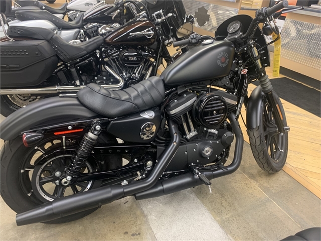 2019 Harley-Davidson Sportster Iron 883 at Zips 45th Parallel Harley-Davidson