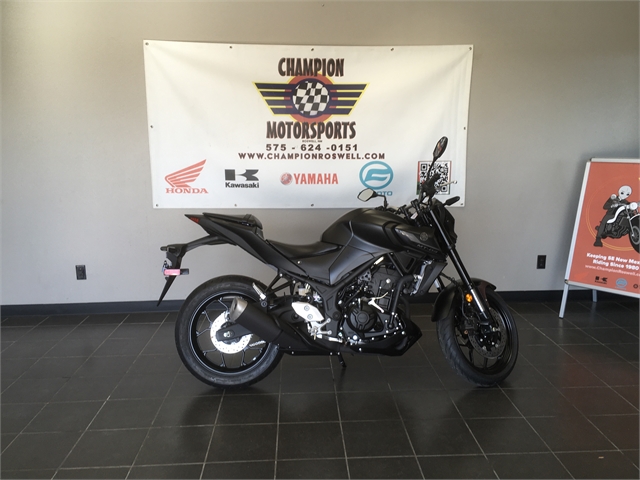 2024 Yamaha MT 03 at Champion Motorsports