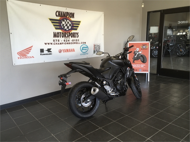 2024 Yamaha MT 03 at Champion Motorsports