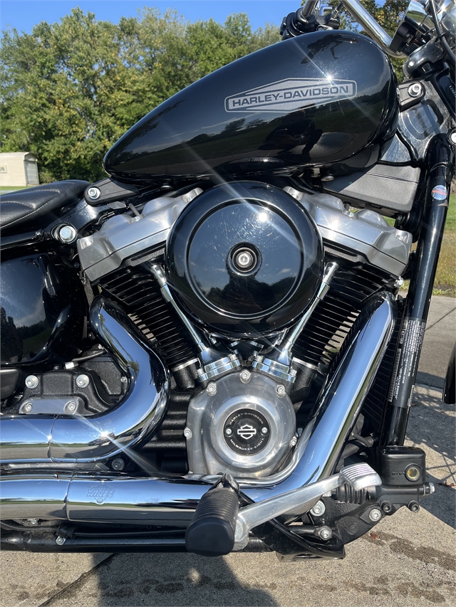 2020 Harley-Davidson Softail Standard at Harley-Davidson of Asheville