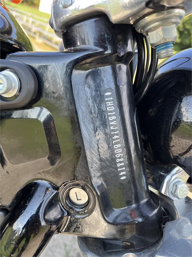 2020 Harley-Davidson Softail Standard at Harley-Davidson of Asheville