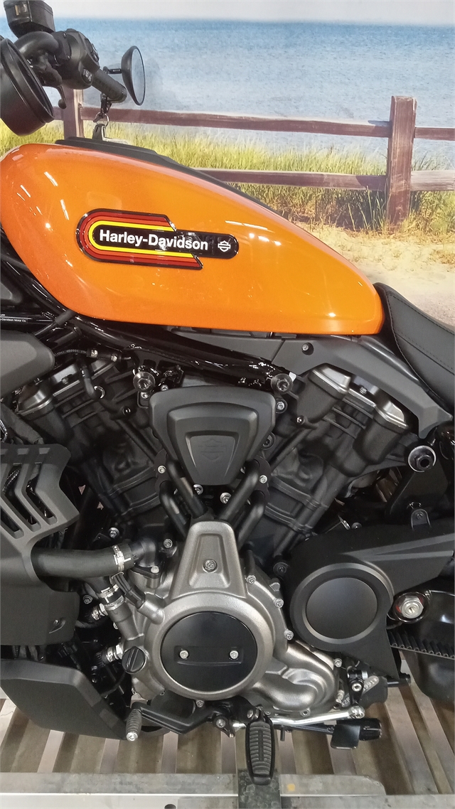 2024 Harley-Davidson Sportster Nightster Special at Hot Rod Harley-Davidson