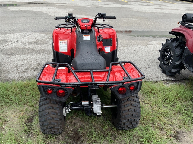 2024 Kawasaki Brute Force 300 at Jacksonville Powersports, Jacksonville, FL 32225