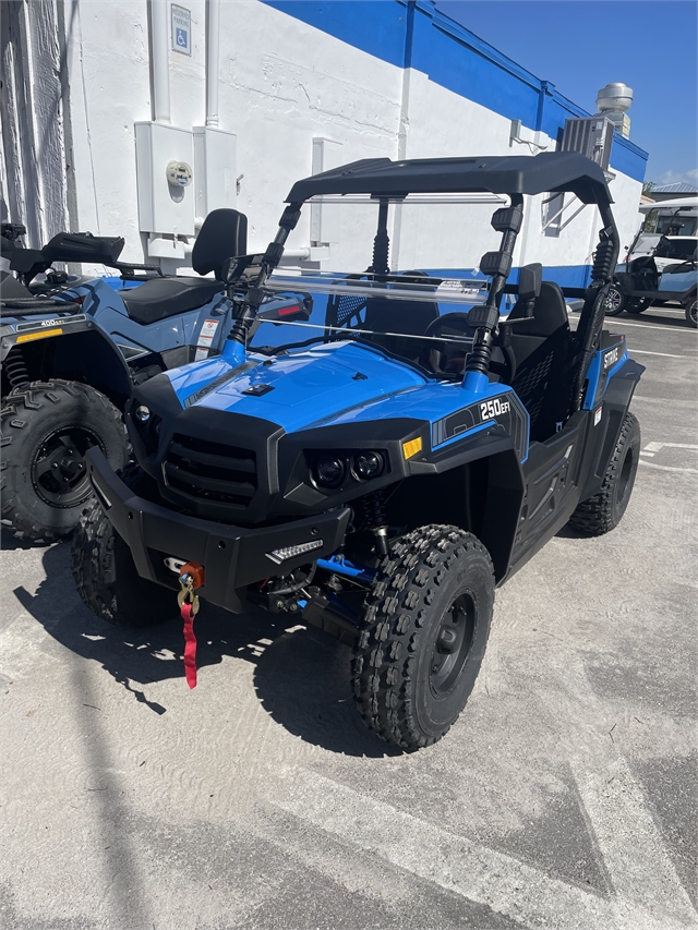 2022 Hisun Strike 250 at Naples Powersports and Equipment