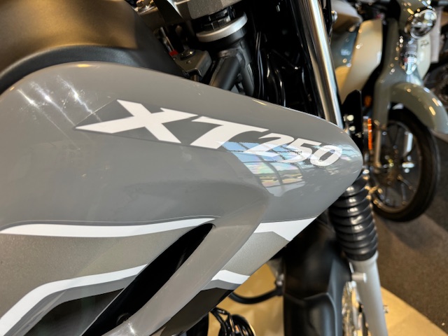 2024 Yamaha XT 250 at Martin Moto