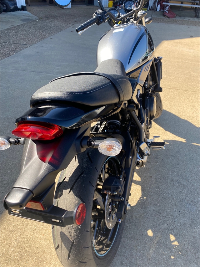 2023 Kawasaki Z650RS ABS at Shreveport Cycles