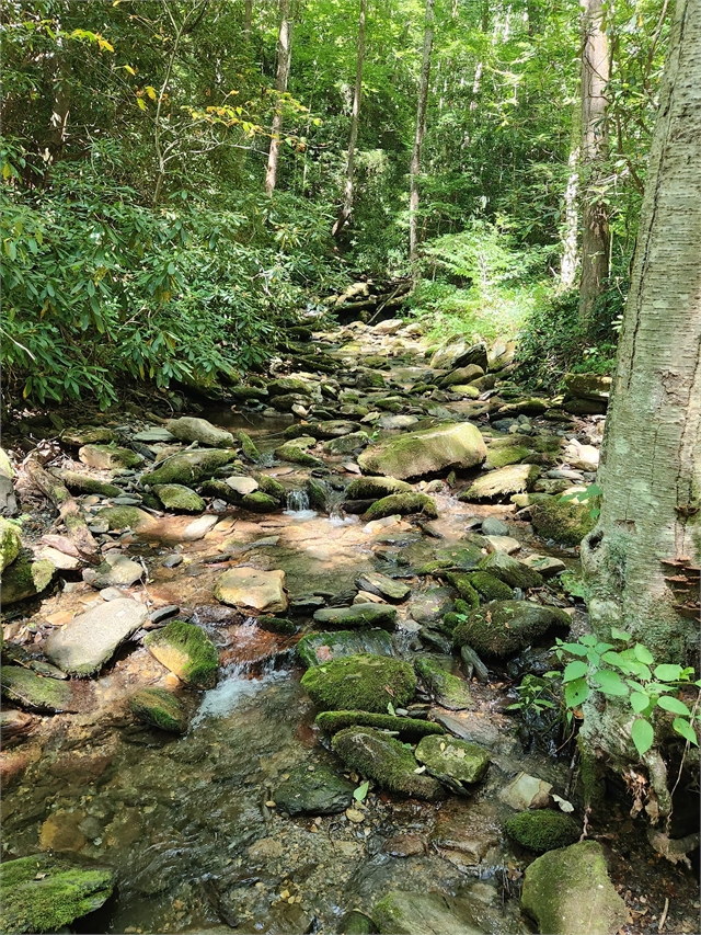 2024 Aug 25 Chasing Waterfalls Part 2 p at Smoky Mountain HOG