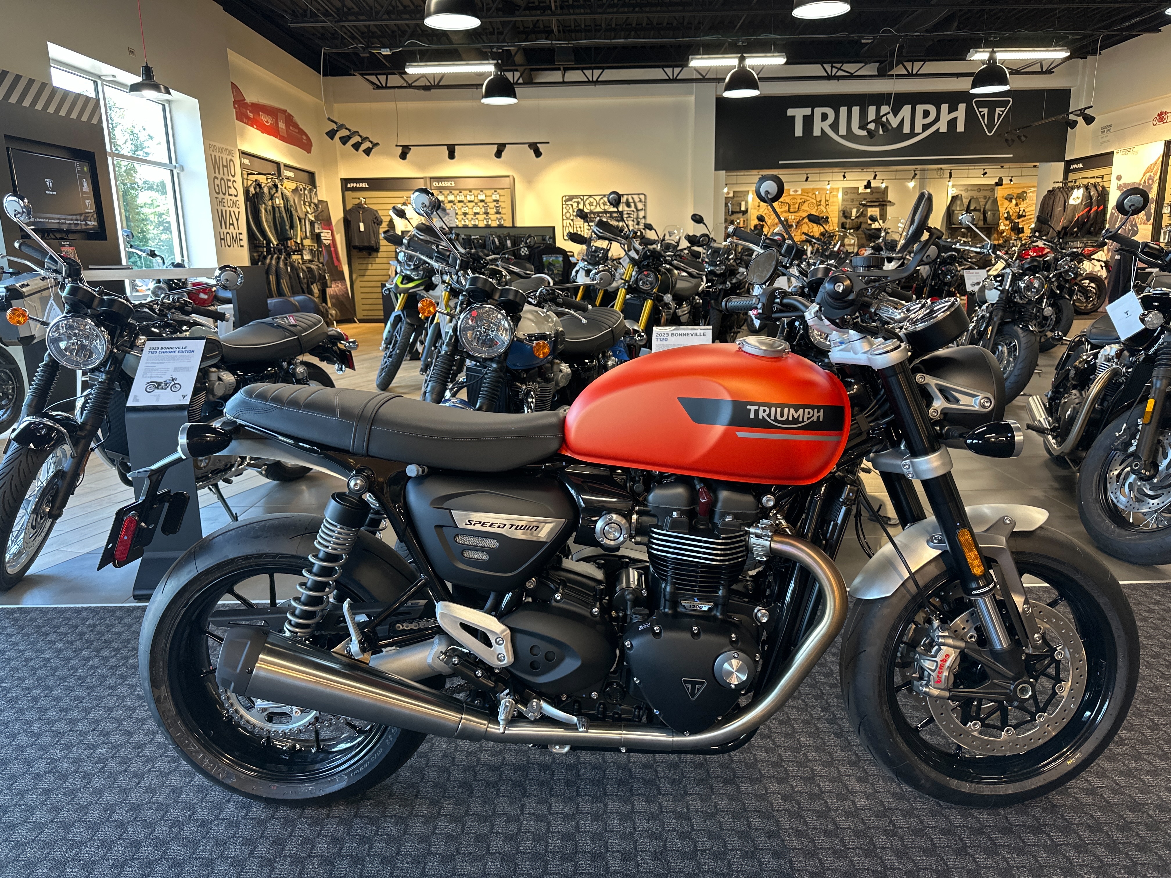 2023 Triumph Speed Twin 1200 Base at Frontline Eurosports