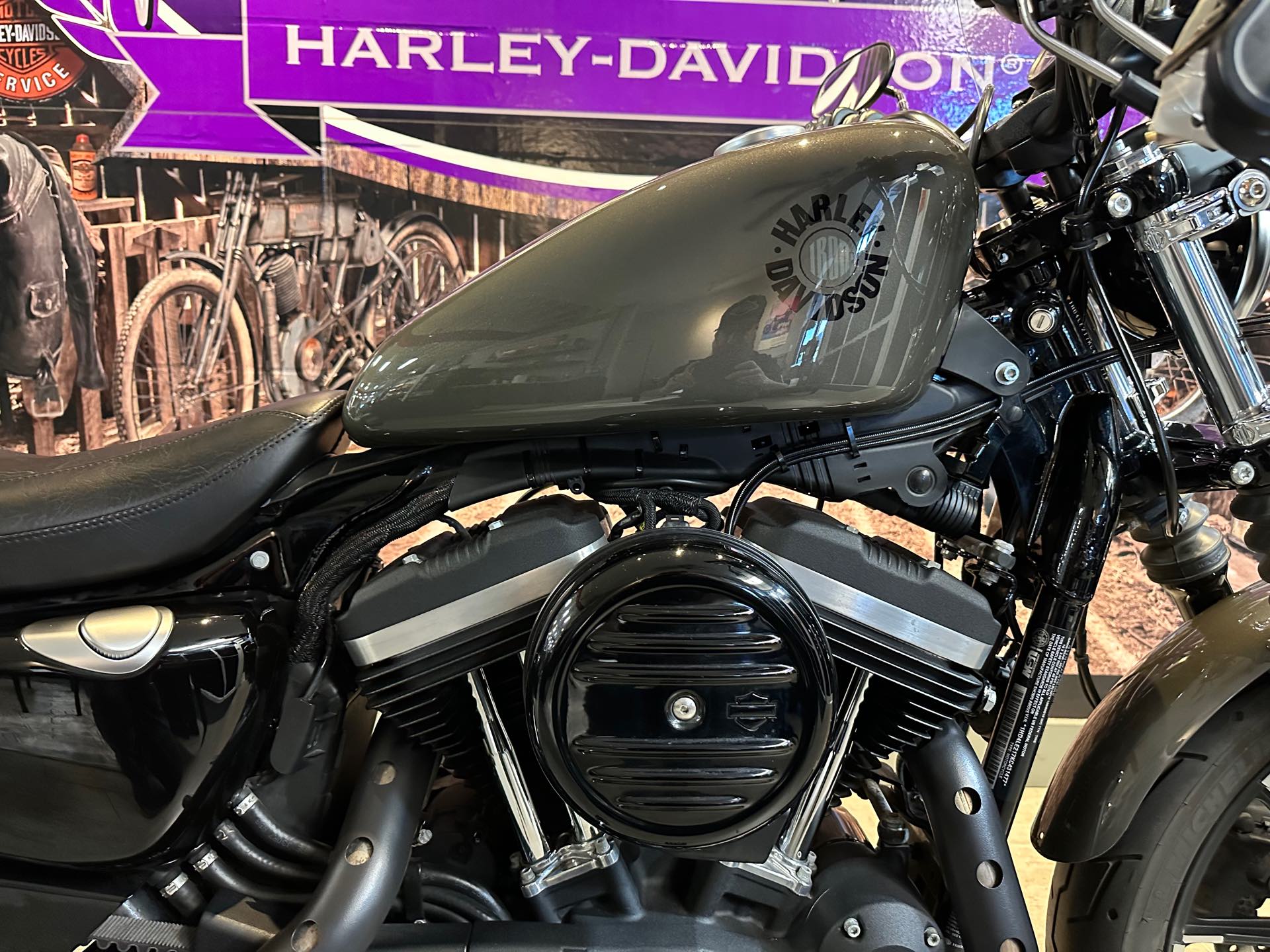 2019 Harley-Davidson Sportster Iron 883 at Phantom Harley-Davidson