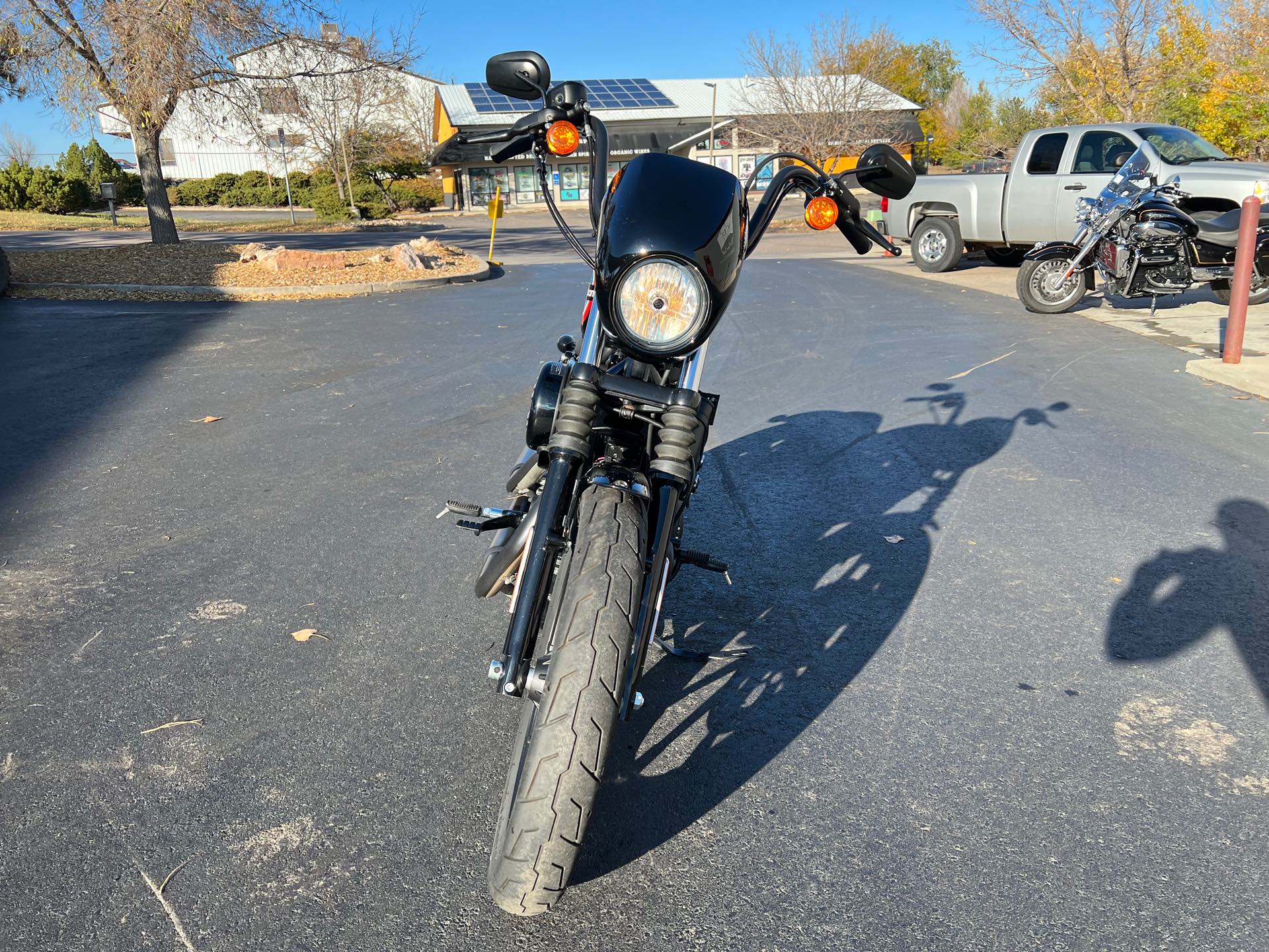 2021 Harley-Davidson Cruiser XL 1200NS Iron 1200 at Aces Motorcycles - Fort Collins