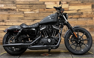 harley davidson iron 890