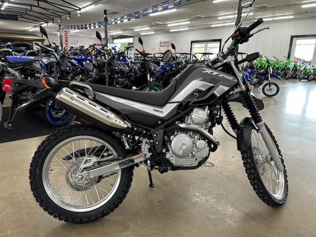 2023 Yamaha XT 250 at ATVs and More
