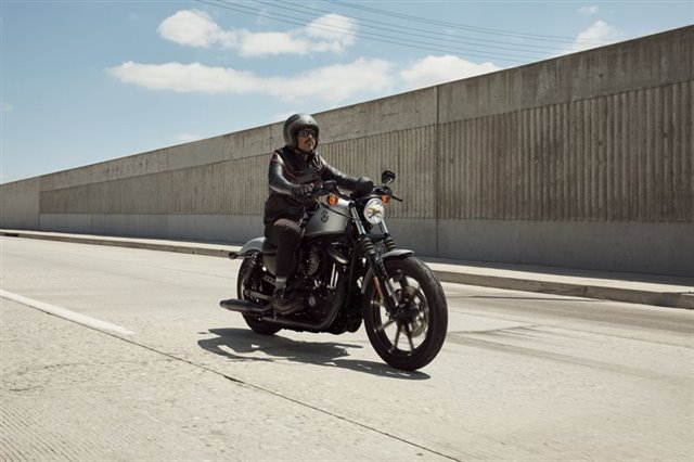 2020 Harley-Davidson Sportster Iron 883 at Fresno Harley-Davidson