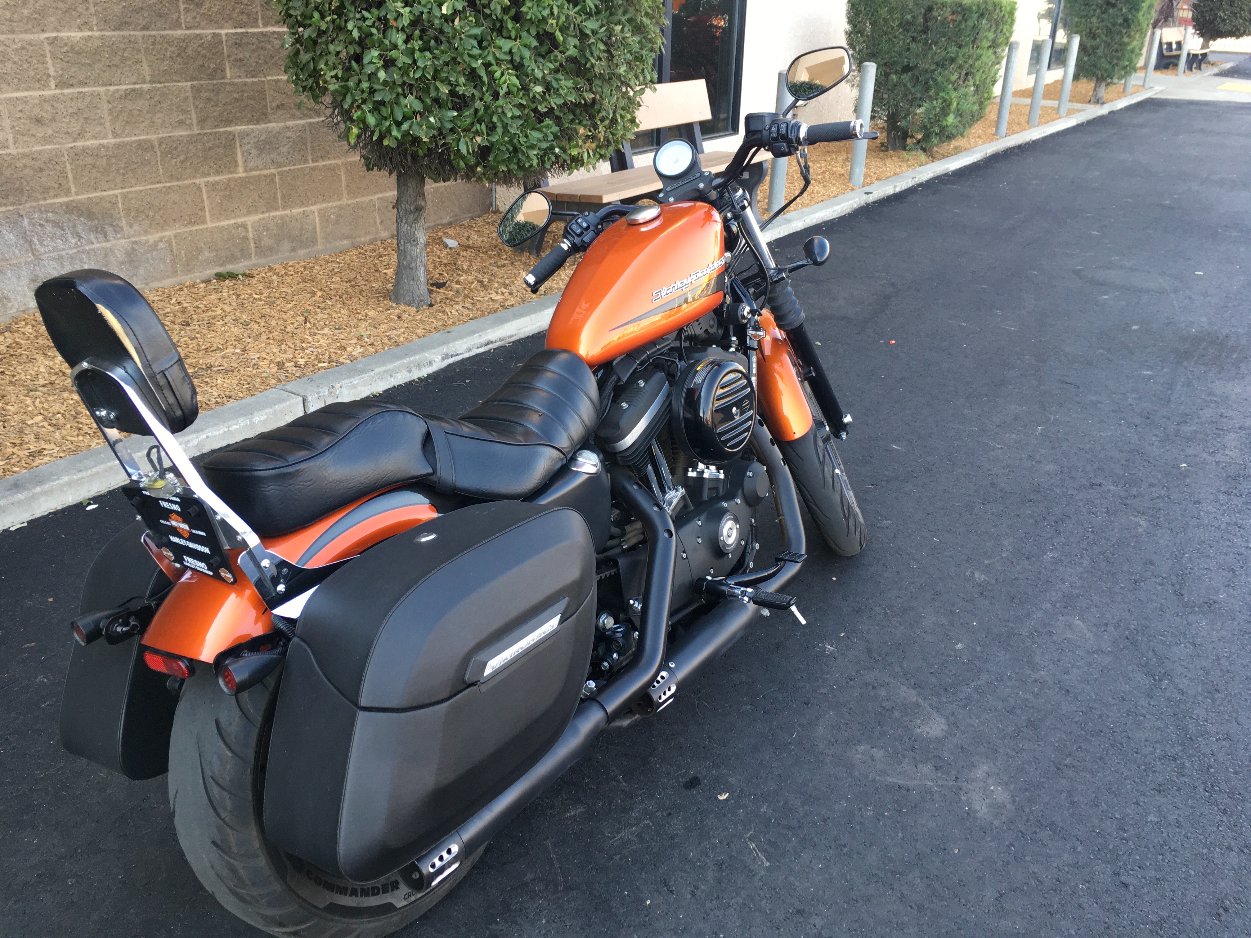 2020 Harley-Davidson Sportster Iron 883 at Fresno Harley-Davidson