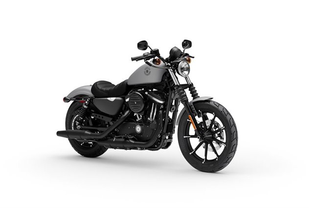 2020 Harley-Davidson Sportster Iron 883 at Fresno Harley-Davidson