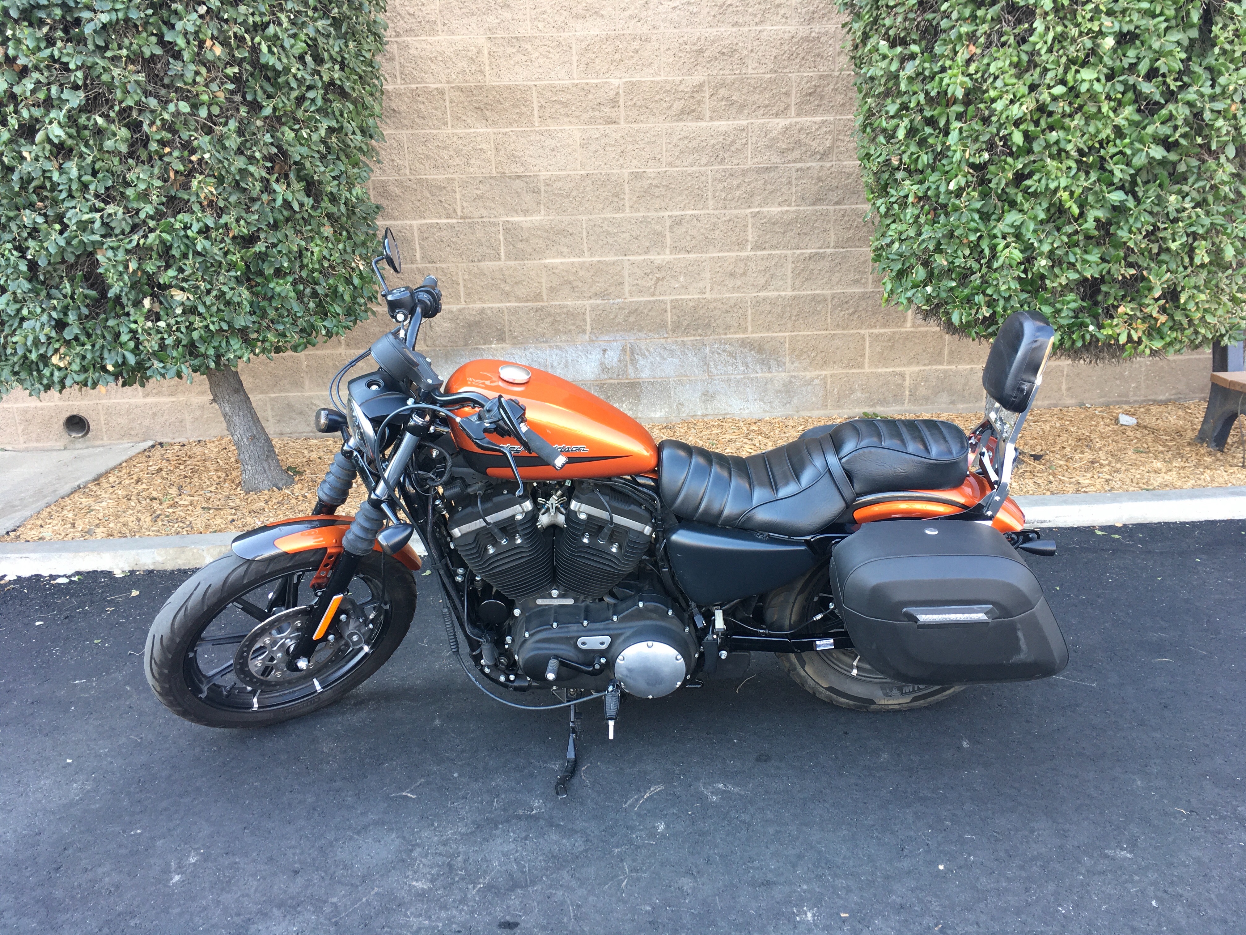 2020 Harley-Davidson Sportster Iron 883 at Fresno Harley-Davidson