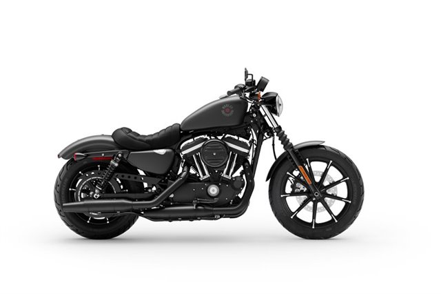 2020 Harley-Davidson Sportster Iron 883 at Fresno Harley-Davidson