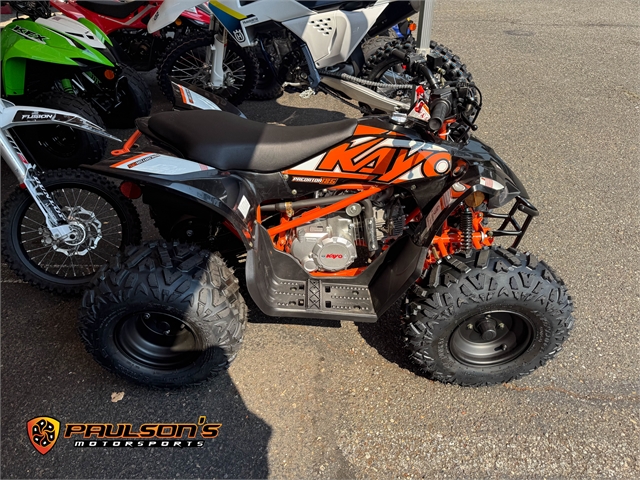 2023 Kayo Predator 125 at Paulson's Motorsports