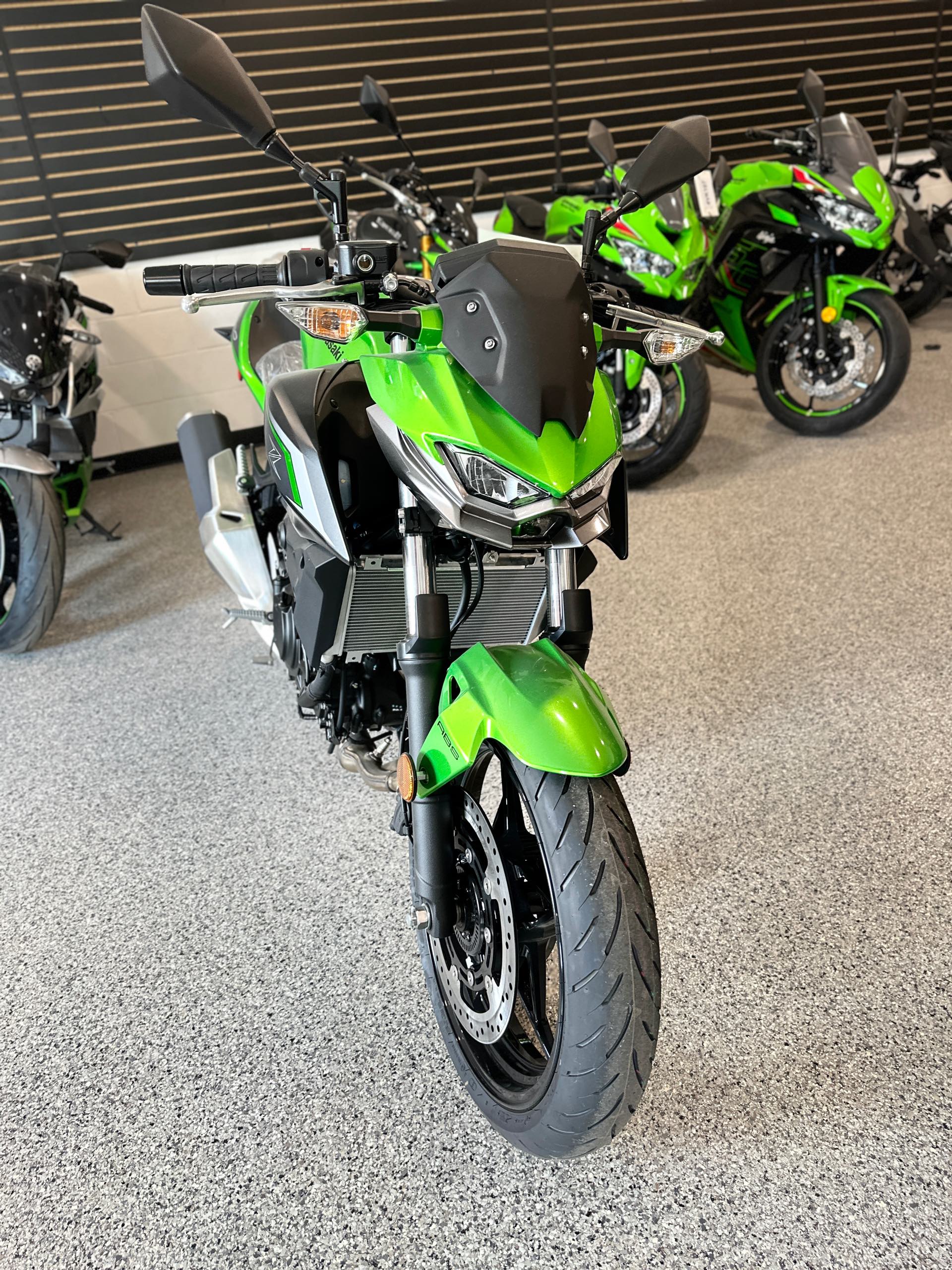 2024 Kawasaki Z500 ABS at Big River Motorsports