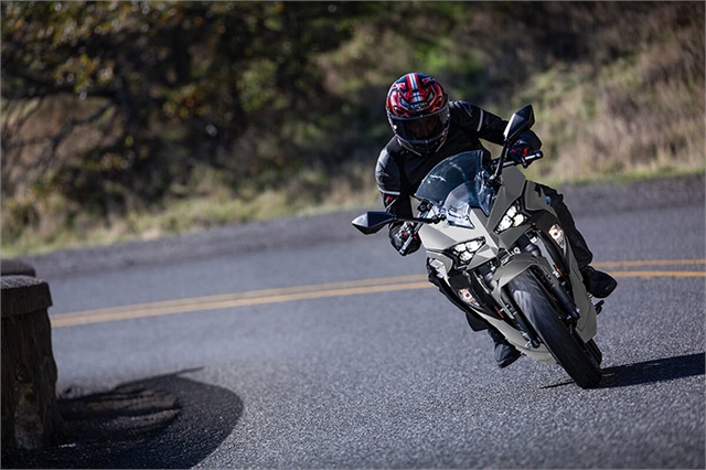 2025 Kawasaki EX500HSFNN Base at Paulson's Motorsports