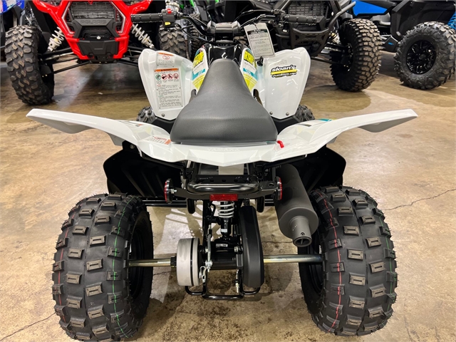 2023 Yamaha Raptor 90 at Sloans Motorcycle ATV, Murfreesboro, TN, 37129