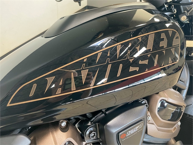 2023 Harley-Davidson Sportster at Destination Harley-Davidson®, Tacoma, WA 98424