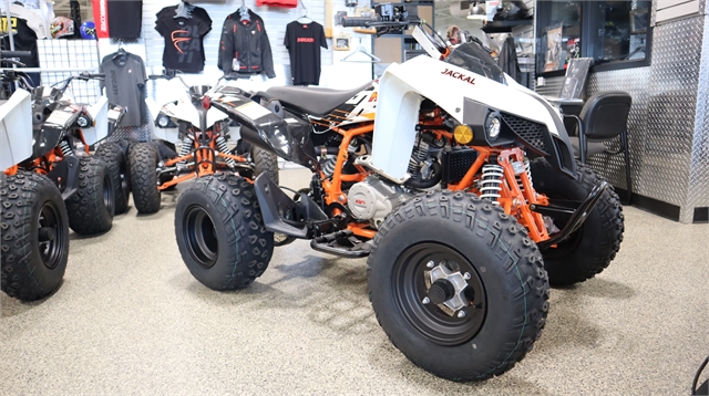 2022 Kayo 200 Jackal at Motoprimo Motorsports