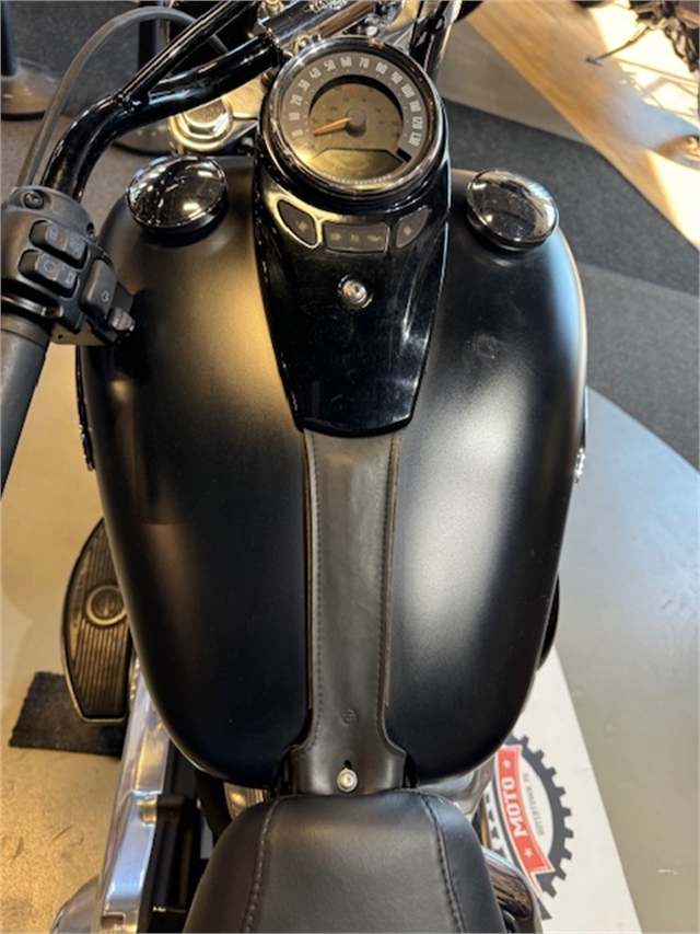 2020 Harley-Davidson Softail Softail Slim at Martin Moto