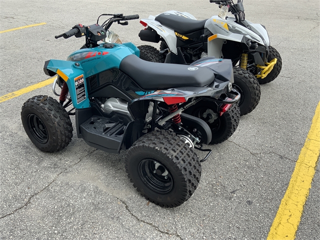 2024 Can-Am Renegade 70 EFI at Jacksonville Powersports, Jacksonville, FL 32225