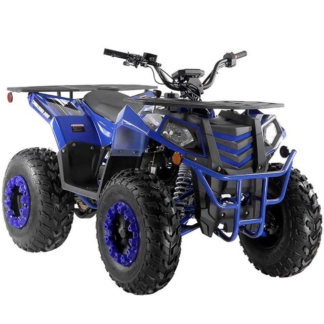 2022 Apollo RFZ 125cc RFZ 125cc at Naples Powersports and Equipment