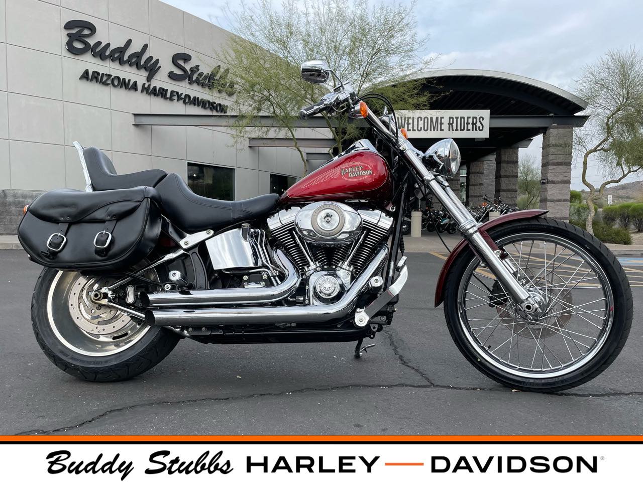 2008 Harley-Davidson Softail Custom at Buddy Stubbs Arizona Harley-Davidson