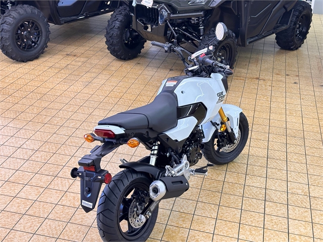 2025 Honda Grom Base at Southern Illinois Motorsports