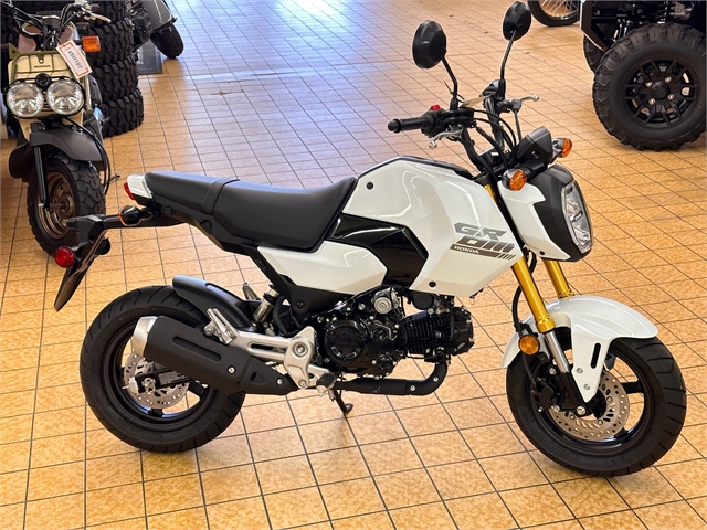 2025 Honda Grom Base at Southern Illinois Motorsports