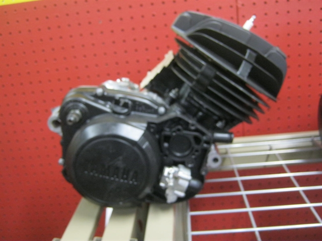 yamaha blaster 200 engine for sale