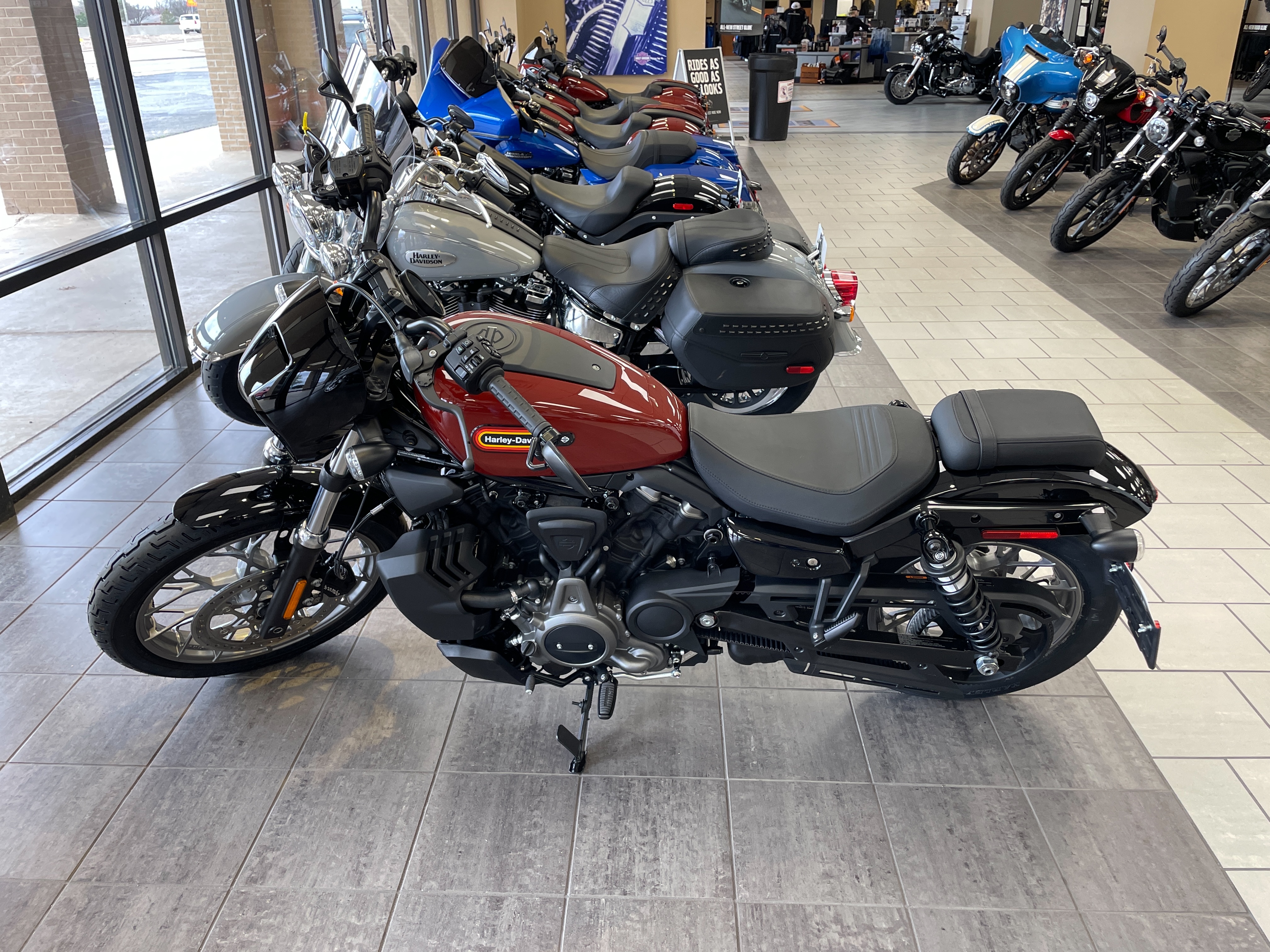 2024 Harley-Davidson Sportster Nightster Special at Tripp's Harley-Davidson