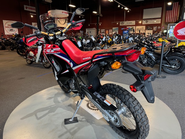 2020 Honda CRF 250L ABS at Martin Moto