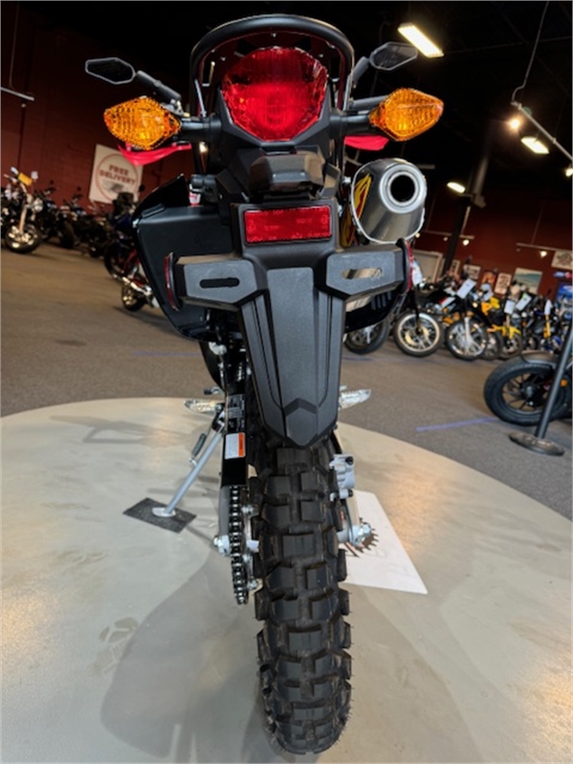 2020 Honda CRF 250L ABS at Martin Moto