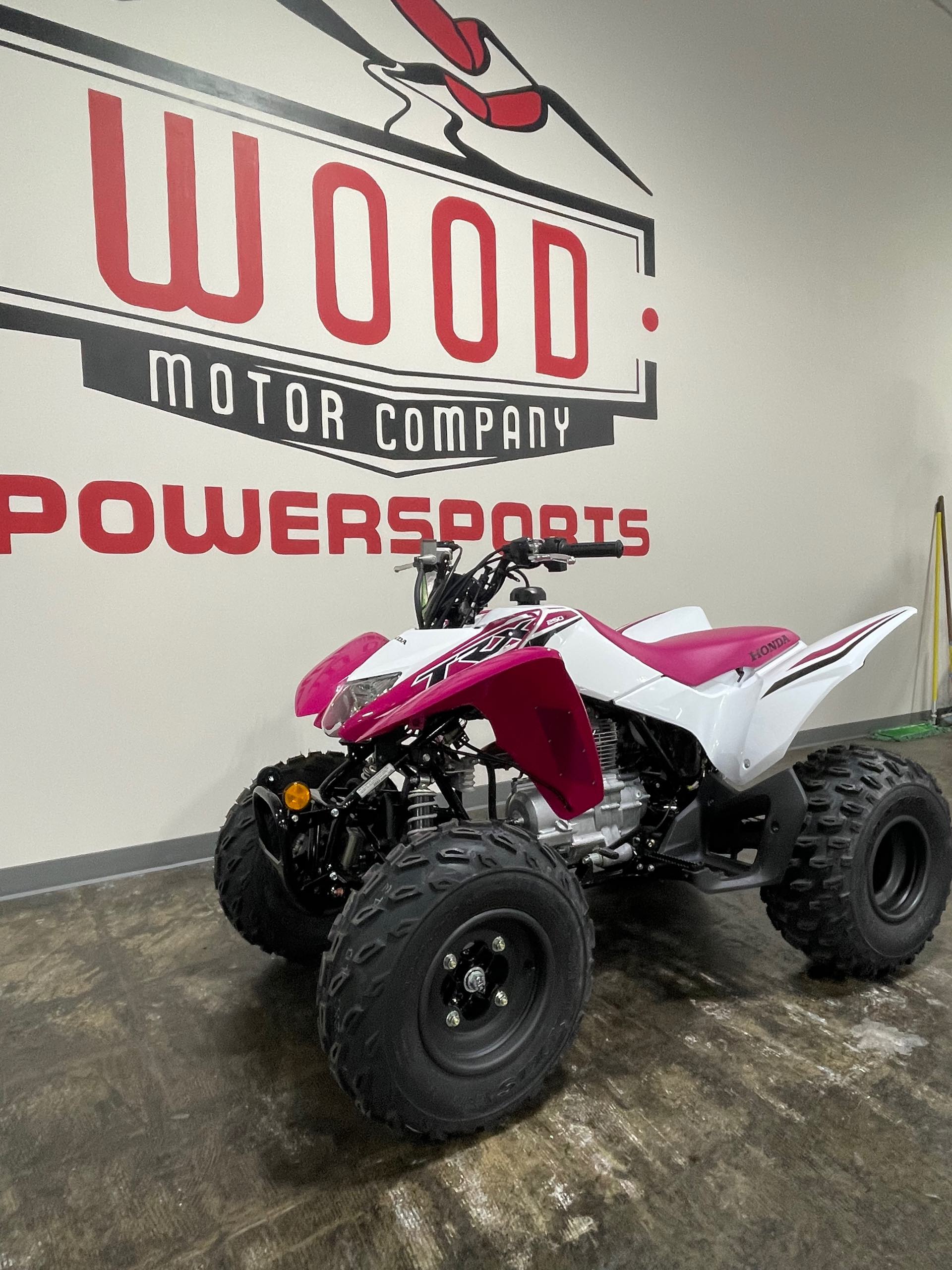 2023 Honda TRX 250X at Wood Powersports Harrison