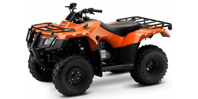 2022 Honda FourTrax Recon ES at Arkport Cycles