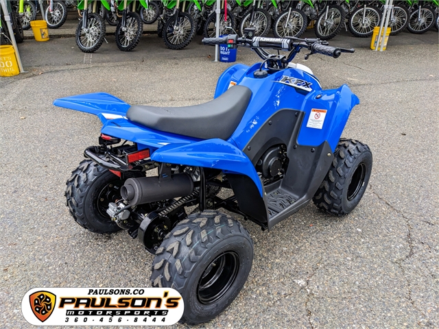 2023 Kawasaki KFX 50 at Paulson's Motorsports