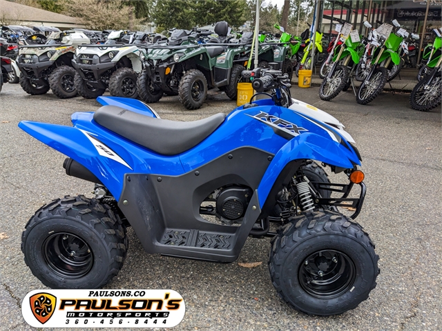 2023 Kawasaki KFX 50 at Paulson's Motorsports