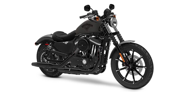 2018 Harley-Davidson Sportster Iron 883T at Texas Harley