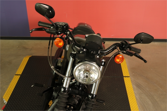 2018 Harley-Davidson Sportster Iron 883T at Texas Harley