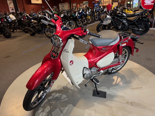 2020 Honda Super Cub C125 ABS at Martin Moto