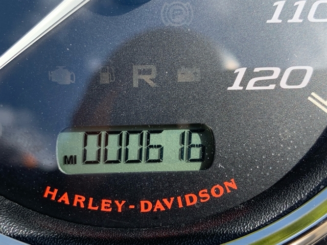 2017 Harley-Davidson Trike Freewheeler at Hampton Roads Harley-Davidson