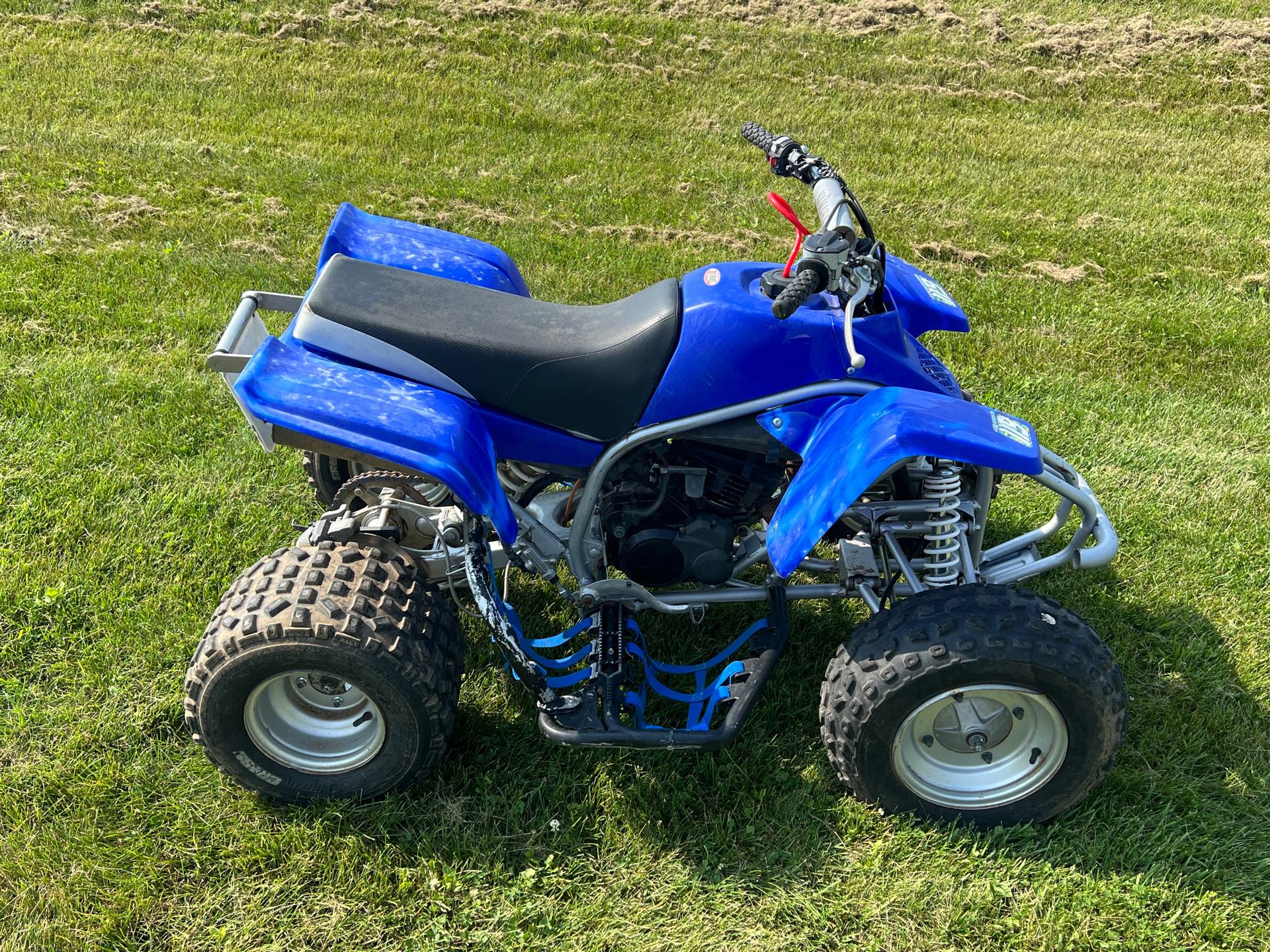 2002 YAMAHA YFS200 at Interlakes Sport Center