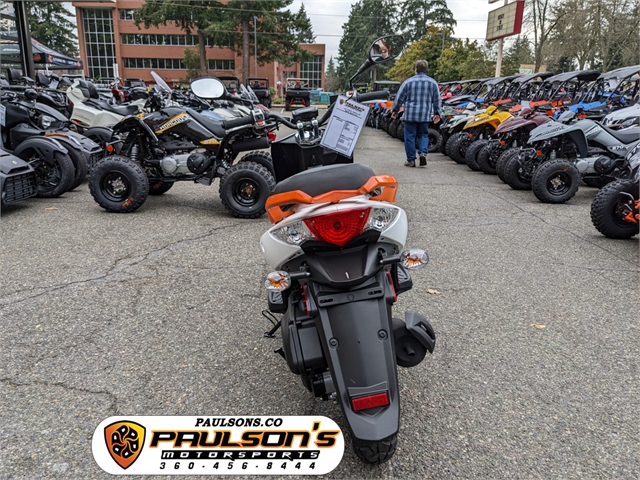 2022 KYMCO Standard 50X at Paulson's Motorsports