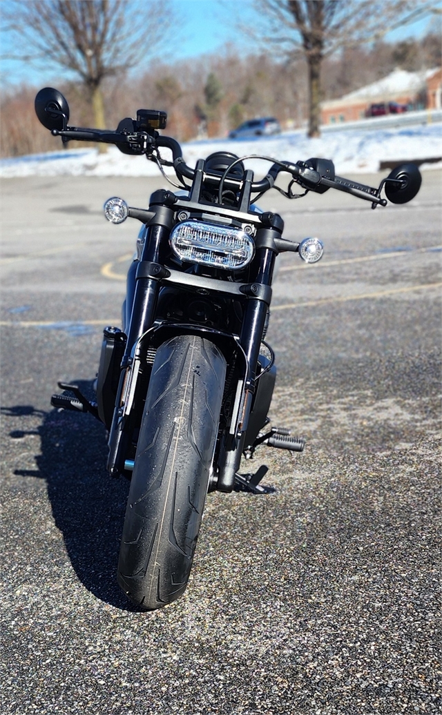 2024 Harley-Davidson Sportster at All American Harley-Davidson, Hughesville, MD 20637