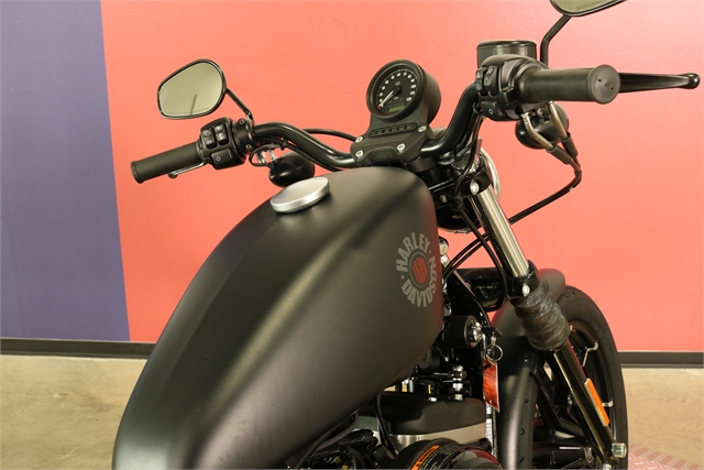 2021 Harley-Davidson Iron 883' at Texas Harley