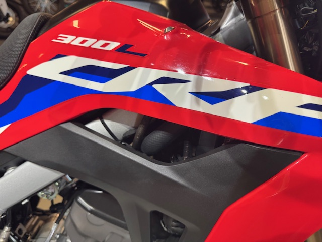 2021 Honda CRF 300L ABS at Martin Moto